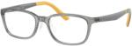 Ray-Ban RY1617D 3774 Transparent Grey DEMO LENS szemüveg (RY1617D 3774)