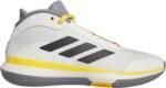 adidas Bounce Legends (ie7847)