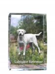 Art-Dog Labrador retriever kutya kép kristályban, ajándéktárgy, trófea köszönetnyilvánítás (5055882465763)
