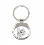 Art-Dog Amerikai macska rövidszőrű macska kulcstartó, fényképes kulcstartó (5055882473539)