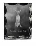 Art-Dog Meztelen perui kutya fotó kutya díszes kristály, ajándéktárgy, dekoráció (5055882449244)