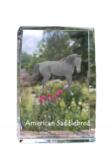Art-Dog American Saddlebred ló fotó kristályban, emlék trófea köszönetnyilvánítás (5055882467989)