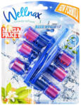 Wellnax Breeze Refresh Blue Hygiene WC frissítő 3X50g - Narancs