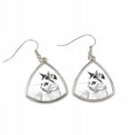 Art-Dog Japán macska bobtail háromszög alakú lógós fülbevaló fényképpel (5055882476776)