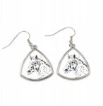 Art-Dog Noriker ló háromszög alakú, lógós fülbevaló fényképpel, személyre szabható (5055882477414)