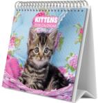  Grupo Erik asztali naptár, 2026, Macskák (CS26016)
