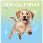  Grupo Erik falinaptár (30x30 cm), 2026, Kutyák (CP26047)