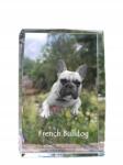 Art-Dog Francia bulldog fénykép kutya kristályban, ajándéktárgy, trófea, köszönetajándék (5055882465701)