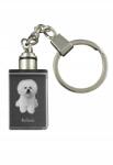 Art-Dog Bichon Frise kristály kulcstartó kutya kulcstartó fényképpel megvilágított (5055882426511)