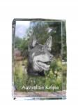 Art-Dog Ausztrál juhászkutya kelpie fotó kutya kristály, ajándéktárgy, trófea (5055882467361)