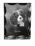 Art-Dog Cavalier King Charles spániel kutya kép díszes kristályban, ajándéktárgy (5055882448094)