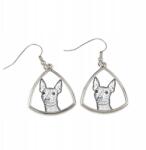 Art-Dog Amerikai terrier szőrtelen háromszög alakú, lógós fülbevaló kutyával, fényképpel (5055882475946)