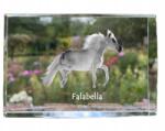 Art-Dog Falabella ló kristályos fotó, emléktárgy, trófea, köszönetnyilvánítás (5055882468351)