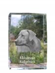 Art-Dog Rhodesian Ridgeback fotó kutya a kristályban, emlék trófea köszönetnyilvánítás (5055882466326)