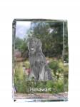 Art-Dog Hovawart kutya kép kristályban, emléktárgy, trófea, köszönetnyilvánítás (5055882467187)