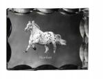 Art-Dog Noriker ló fotó díszes kristályban, ajándéktárgy, lakásdekoráció (5055882450417)