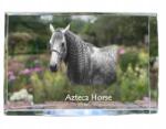 Art-Dog Azték ló kristályos fotó, emléktárgy, trófea, köszönetnyilvánítás (5055882468252)