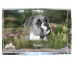 Art-Dog Boxer kép kutya kristály, ajándéktárgy, trófea, köszönetnyilvánítás, szobor (5055882465572)