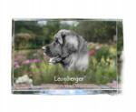 Art-Dog Leonberger kristályos kutya fotó, ajándéktárgy, trófea, köszönetajándék (5055882466425)