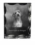 Art-Dog Basset breton kutya fotó díszes kristályban, ajándéktárgy, lakásdekoráció (5055882448704)