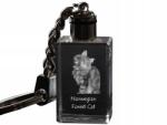 Art-Dog Norvég macska erdei kristály kulcstartó világító fényképes kulcstartó (5055882428669)