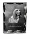 Art-Dog Redbone Coonhound kutya fotó díszes kristály, ajándéktárgy lakásdekoráció (5055882448797)