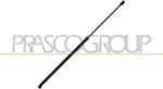 PRASCO Amortizor capota PRASCO VG0569001 (VG0569001) - fixbox