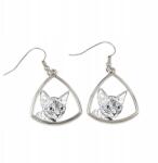 Art-Dog Devon Rex macska háromszög alakú, fényképes lógós fülbevaló, személyre szabható (5055882476585)