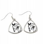 Art-Dog Appaloosa ló háromszög alakú, lógós fülbevaló fényképpel, személyre szabható (5055882477001)