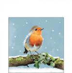 Ambiente Robin on branch papírszalvéta 25x25cm, 20db-os (32519180)