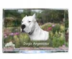 Art-Dog Argentin dog fotó kutya kristályban, emléktárgy, trófea, köszönetnyilvánítás (5055882466173)