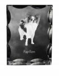 Art-Dog Papillon kutya kép díszes kristályban, ajándéktárgy, lakásdekoráció (5055882448445)