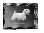 Art-Dog Sealyham terrier kutya kép díszes kristályban, ajándéktárgy, lakásdekoráció (5055882448476)