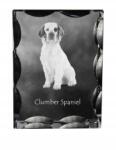 Art-Dog Clumber spániel kutya kép díszes kristályban, ajándéktárgy, lakásdekoráció (5055882448438)
