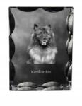 Art-Dog Farkas spicc kutya kép díszes kristályban, ajándéktárgy, lakásdekoráció (5055882448698)