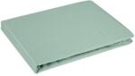 Takoy Cearceaf fără elastic 220x210 cm din bumbac satinat, culoare mentă 125 g/m2 DINA Diva Line