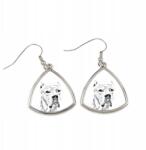 Art-Dog Argentin dog háromszög alakú lógós fülbevaló kutyával, fényképpel (5055882475175)