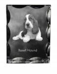 Art-Dog Basset Hound kutya fotó díszes kristályban, ajándéktárgy, lakásdekoráció (5055882447493)