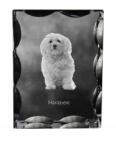 Art-Dog Havannai kutya fotó díszkristályban, ajándéktárgy, lakásdekoráció (5055882448681)