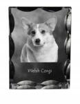 Art-Dog Pembroke Welsh Corgi kutya fotó díszkristályban, ajándéktárgy, dekoráció (5055882448391)