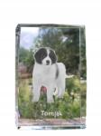 Art-Dog Torn, mint egy kutya képe kristályban, ajándéktárgy, trófea, köszönetnyilvánítás (5055882467316)