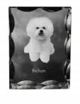 Art-Dog Bolognai kutya fotó díszes kristályban, ajándéktárgy, lakásdekoráció (5055882447516)