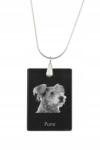 Art-Dog Pumi ezüst nyaklánc kristály medállal, kutyával, fényképpel (5055882455405)