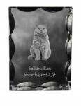 Art-Dog Selkirk Rex macska rövidszőrű fotó díszes kristály ajándéktárgy dekoráció (5055882449824)