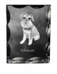 Art-Dog Schnauzer, Schnauzer kutya fotó díszkristályban, ajándéktárgy, dekoráció (5055882447899)