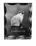 Art-Dog Snowshoe macska fotó díszes kristályban, ajándéktárgy, lakásdekoráció (5055882449855)