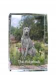 Art-Dog Thai Ridgeback kutya kép kristályban, ajándéktárgy, trófea, köszönetajándék (5055882467309)