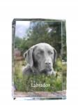 Art-Dog Labrador retriever kutya kép kristályban, ajándéktárgy, trófea köszönetnyilvánítás (5055882466265)