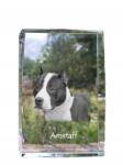 Art-Dog Amstaf Amstaff fénykép kutya kristályban, emléktárgy, trófea, köszönetnyilvánítás (5055882465473)