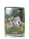 Art-Dog Pumi kutya kép kristályban, ajándéktárgy, trófea, köszönetajándék, szobor (5055882467408)